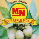 Holy Apple